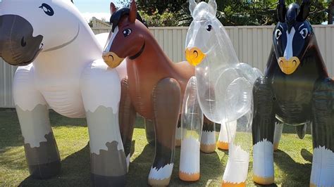 Inflatable Horse Comparison - YouTube