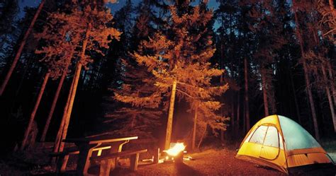 Top 5 Campgrounds around the Gold Coast - Camping Plus - Camping