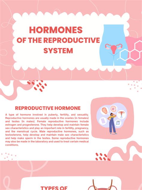 Hormones in The Reproductive System Group 1 BEED 2 | PDF