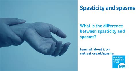 Spasticity and spasms | MS Trust