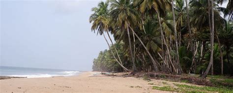 Discover Beaches in Liberia - Liberia Tourism