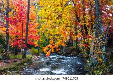 Blue Ridge Fall Foliage Stock Photo 749011705 | Shutterstock