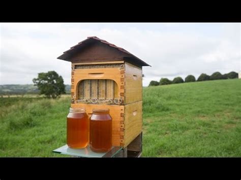 Flow Hive Review: Worth the Buzz or Overpriced? - Beekeeping 101