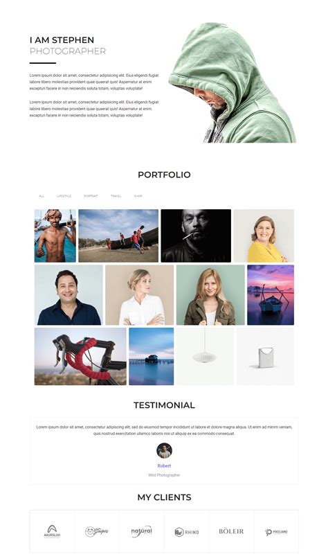 5 Best Elementor Portfolio Templates for You