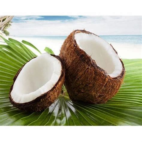 Raw Coconut at best price in Chennai by G.s. Rajan Trading Company | ID: 12212576355