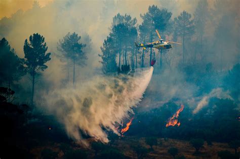 Portugal Forest Fires Worsen, Fed by Poor Choices and Inaction - The ...