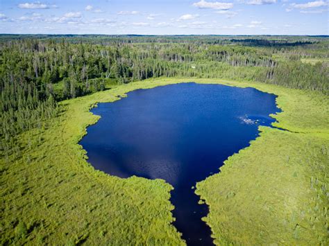 Go inside the Carbon Vault: why it’s critical to know what’s beneath ...