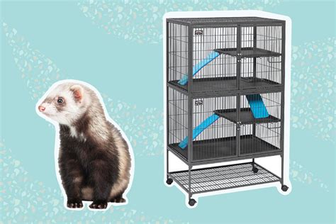 Ideal Ferret Cage Setup