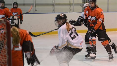 Girls hockey teams in Regina, Saskatoon to be off-limits to non-city ...