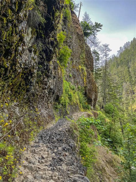 Eagle Creek - Hike Oregon