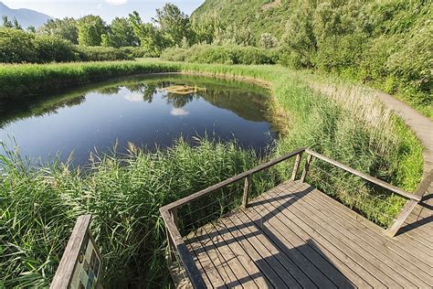 What Is A Biotope? - WorldAtlas