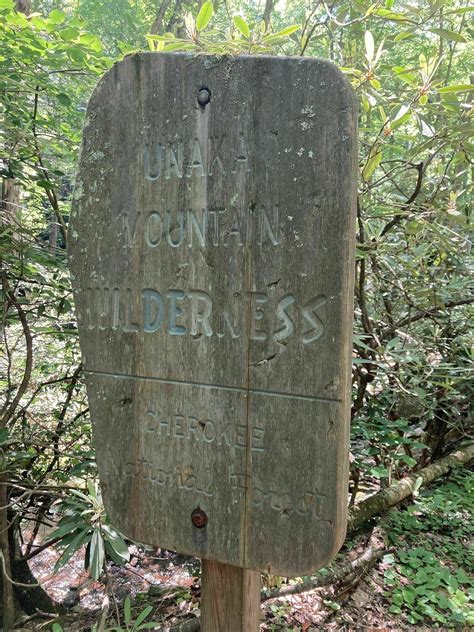 Rock Creek Trail - Tennessee | AllTrails