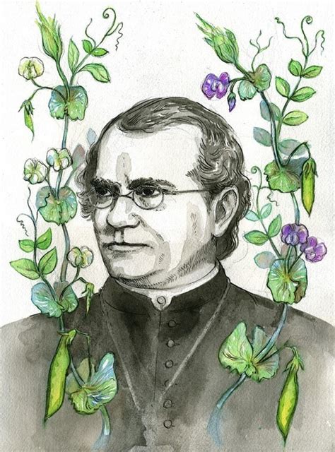 Items similar to Gregor Mendel with pea plants portrait, scientist ...