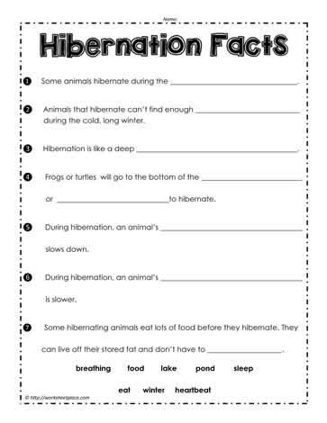 Hibernation Facts Worksheets