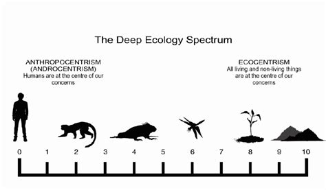 The Deep Ecology spectrum | Download Scientific Diagram