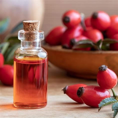 Rosehip Oil For Acne Scars & How To Use – Kicker