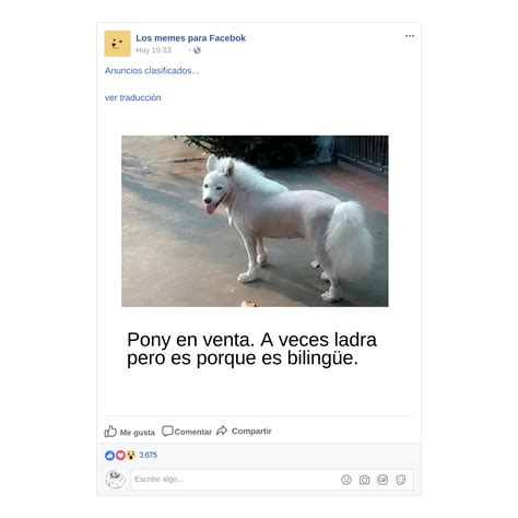 Memes para Facebook: cómo utilizarlos en la página de tu negocio