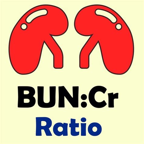 BUN Creatinine Ratio Calculato by Krzysztof Gwiazda