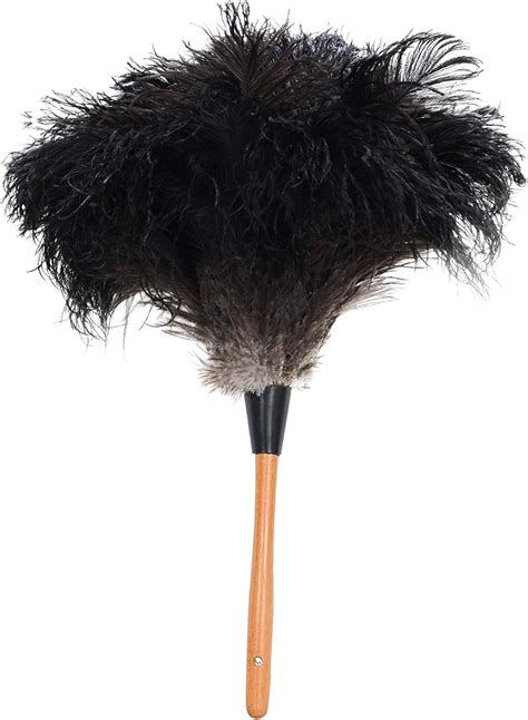 ROYAL DUSTER Black Ostrich Feather Duster (14") : Amazon.ca: Health ...