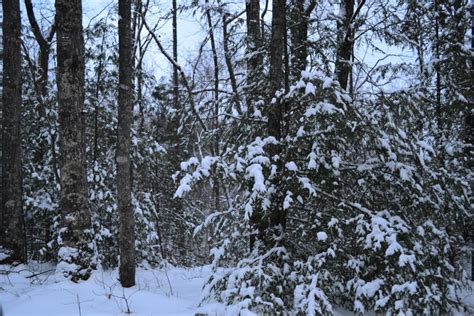 The Red River Gorge at Nightfall « Mildly Mystical