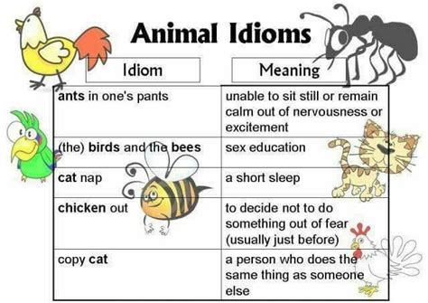 Idioms Related To Animals - English Learn Site