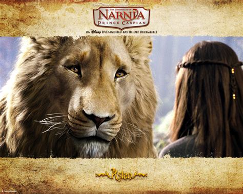 Aslan - Aslan Wallpaper (18376539) - Fanpop