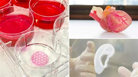 3d Printed Tissue