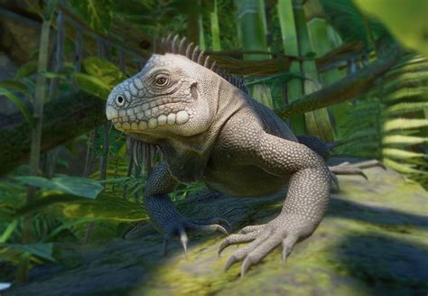 Lesser Antillean Iguana | Planet Zoo Wiki | Fandom