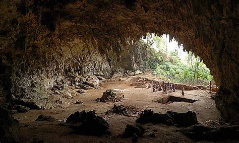 Animals That Live In Caves - WorldAtlas