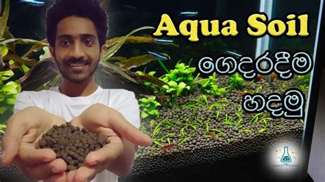 How To Make Aquarium Soil At Home? - Aquariumia