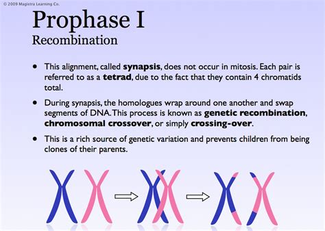 Genetic Recombination Audiobook Free - Read Online Now