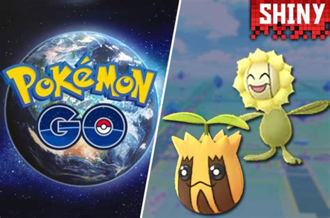 Sunkern Shiny Pokemon GO: How to catch Shiny Sunflora - September Field Research News | Daily Star