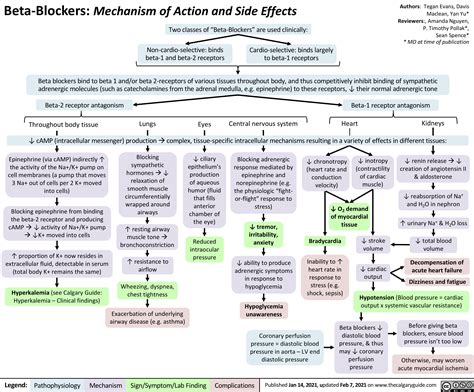 Beta Blockers: Mechanism of Action and Side Effects | Calgary Guide