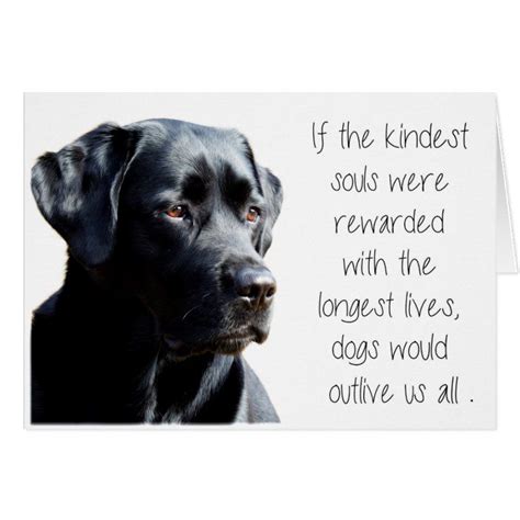 Black Lab Sympathy Card - Dog Sympathy - Pet Loss | Zazzle | Pet ...