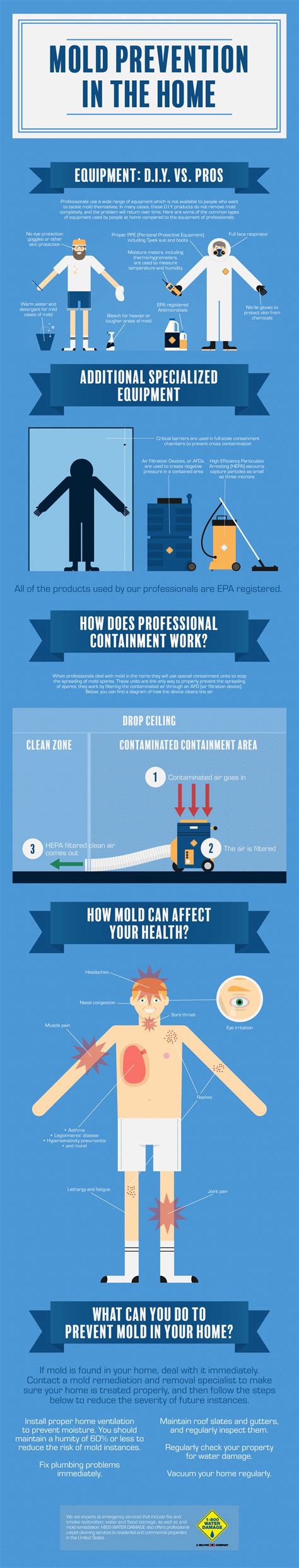 Mold Prevention in the Home Infographic | Mold prevention, Mold remover, Diy mold remover