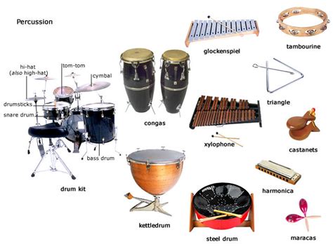 Percussion Instruments - MUSIC ROCKS!!!