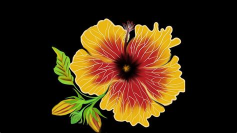 Decorative Digital Painting 106- Easy Hibiscus Flower - YouTube