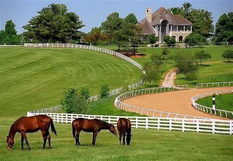 1. Thoroughbred Heritage Horse Farm Tours in Lexington Horse Stables ...