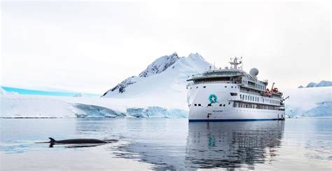 Solo Travel Cruise Group Antarctica 2023