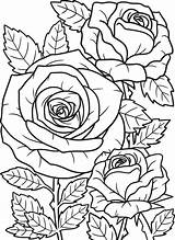 Rose Flower Coloring Page For Adults 7066878 Vector Art At Vecteezy sketch template