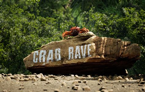 Crab Rave Wallpapers - Wallpaper Cave