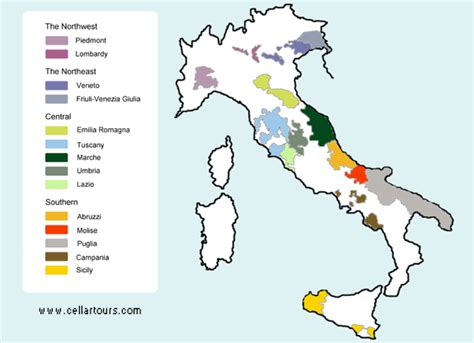 Discover the Diversity of Italian Wine Regions