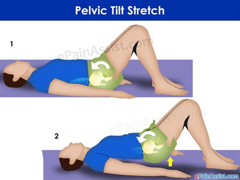 Stretches For Lower Back Pain