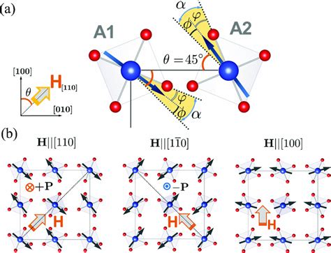 a) Magnetic moments of Cu2+ at A1 and A2 sublattices in an external... | Download Scientific Diagram