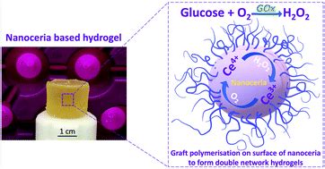 Auto-catalytic redox polymerisation using nanoceria and glucose oxidase ...