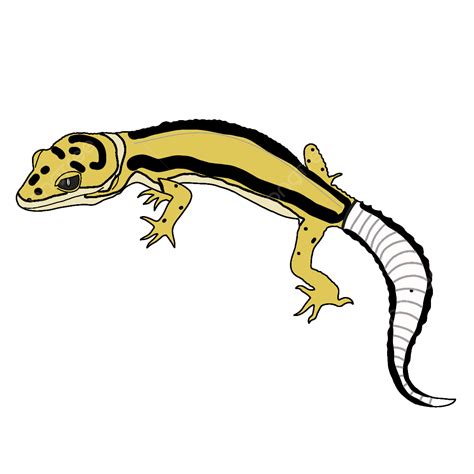 Bold Striped Leopard Gecko Morph, Gecko, Gecko Morph, Gecko Colors PNG ...