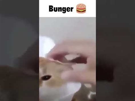 bunger🍔 - YouTube