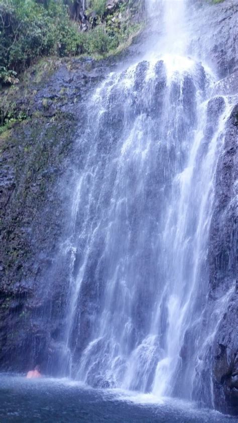 Wailua Falls Maui (swimming + views from the bridge!) Road to Hana waterfalls for swimming 🌴 ...