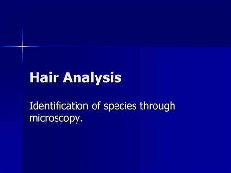 HairAnalysisPP