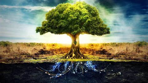 Spiritual Tree of Life - Home